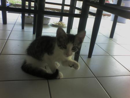 MIGNTER